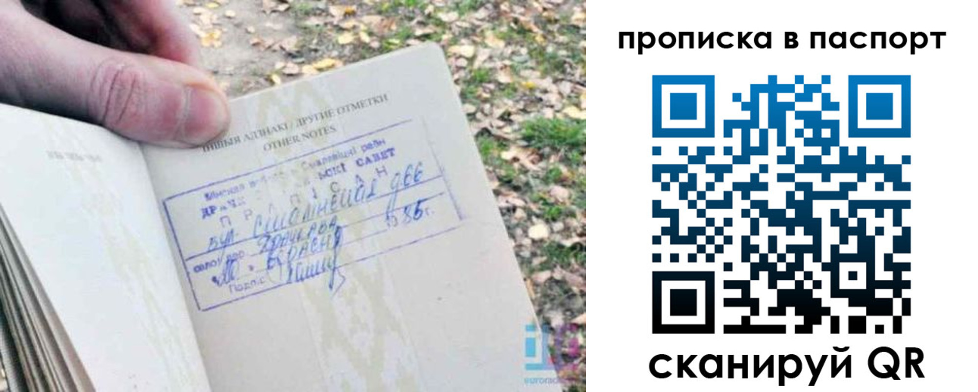 временная регистрация собственник в Новосибирской области